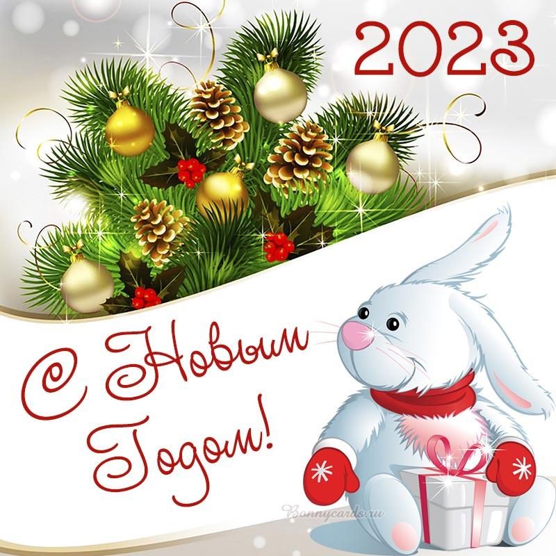 С Новым годом 2023 - стихи, проза и картинки с наступающим Новым годом Кролика — УНИАН